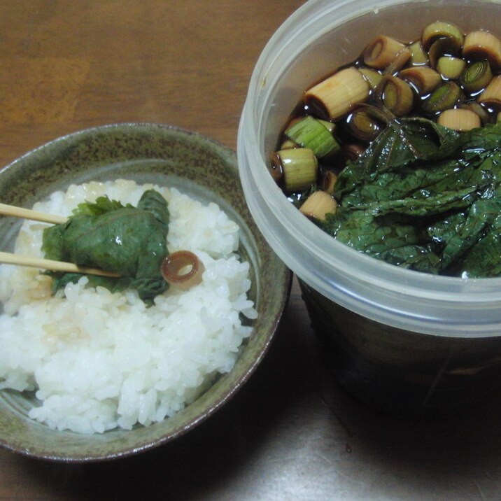 えごまの葉と葉ニンニクの醤油漬け